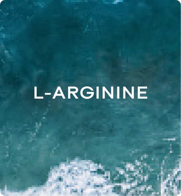 OceanVibesco