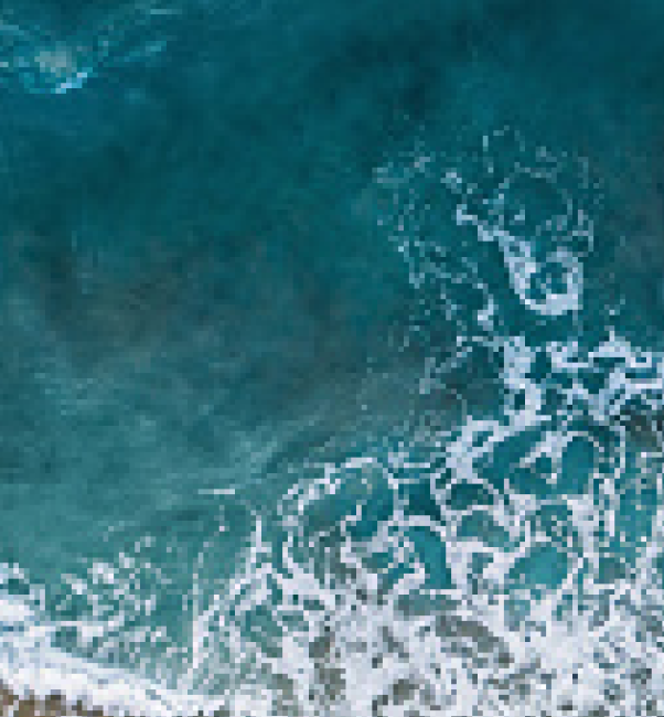 OceanVibesco